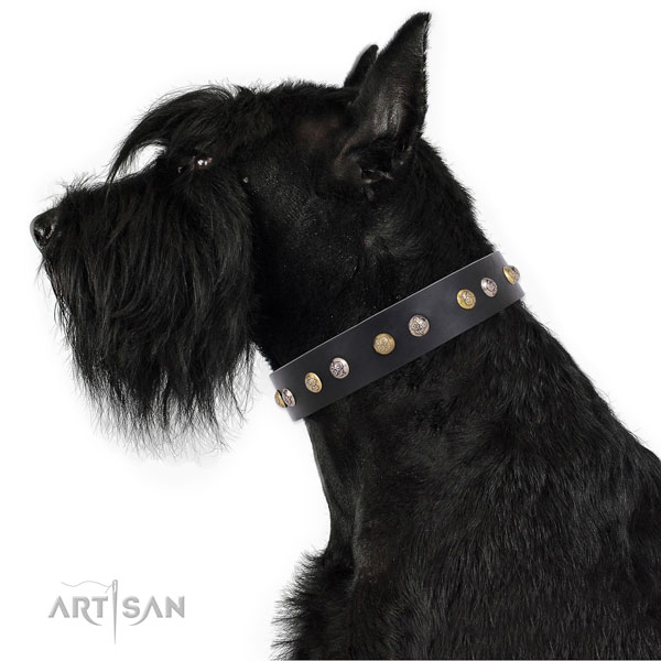 Full grain leather dog collar with corrosion proof buckle and D-ring for daily walking