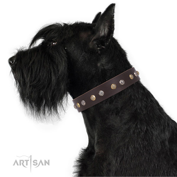 Leather dog collar with corrosion proof buckle and D-ring for stylish walking