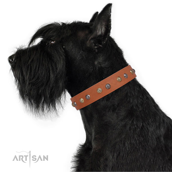 Full grain leather dog collar with rust-proof buckle and D-ring for everyday walking