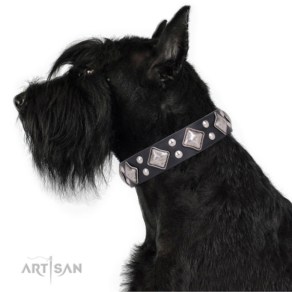 Daily walking adorned dog collar made of top rate leather