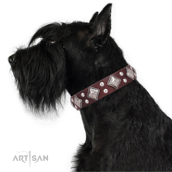 Fancy walking adorned dog collar made of best quality leather