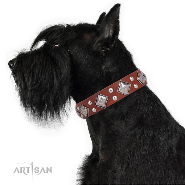 Comfortable wearing embellished dog collar made of top rate genuine leather