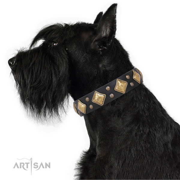 Comfortable wearing decorated dog collar made of top rate genuine leather
