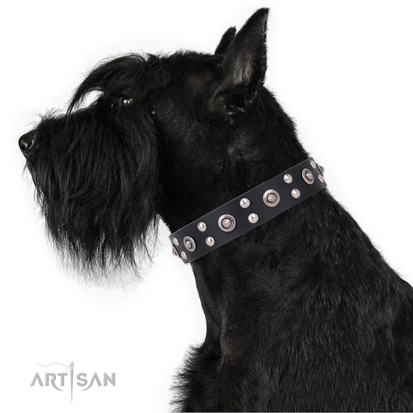 Comfy wearing embellished dog collar made of reliable genuine leather