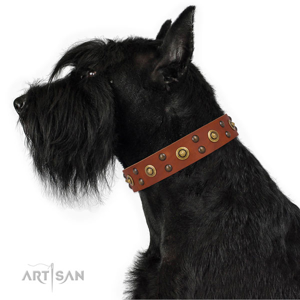 Comfy wearing dog collar with stylish decorations