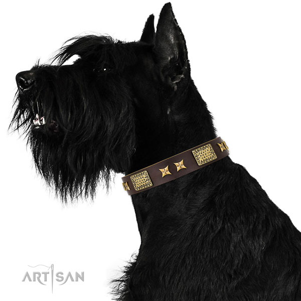 Easy wearing dog collar with inimitable studs