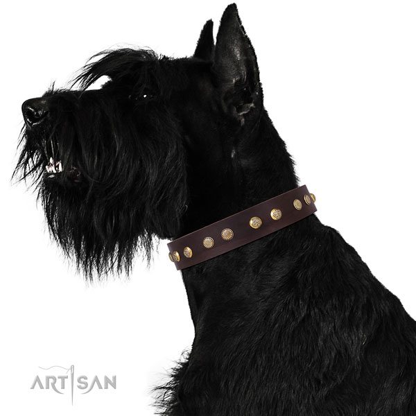 Stylish adornments on fancy walking natural genuine leather dog collar