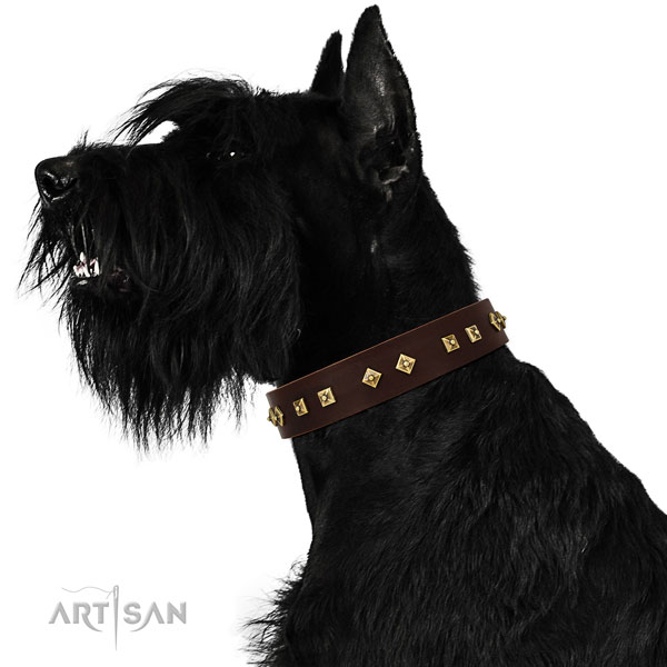 Amazing embellishments on basic training full grain leather dog collar