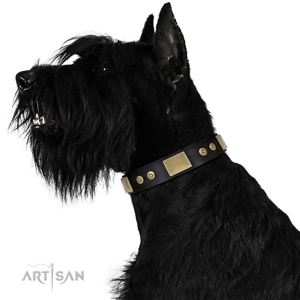 Top notch stylish walking dog collar of leather