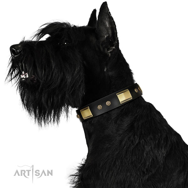 Basic training dog collar of leather with inimitable embellishments