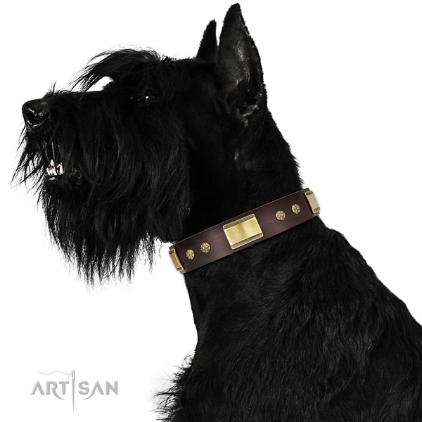 Daily use dog collar of leather with unusual adornments