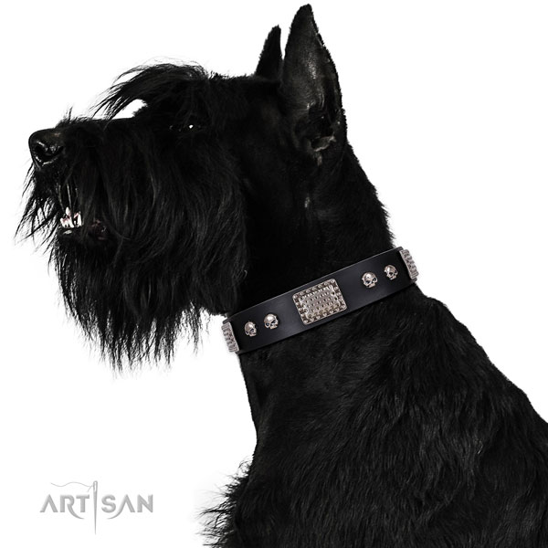Incredible full grain leather collar for your impressive dog
