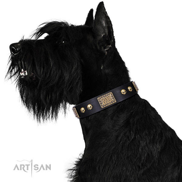 Corrosion resistant buckle on full grain leather dog collar for walking