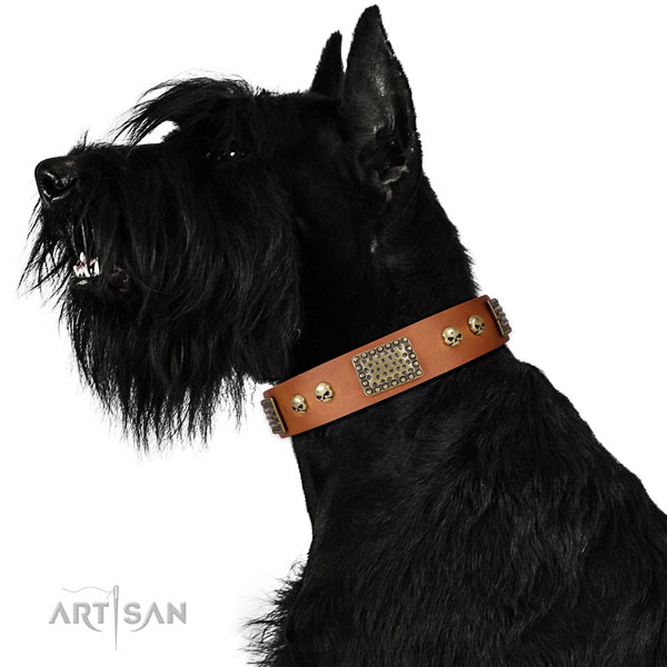 Corrosion proof traditional buckle on full grain genuine leather dog collar for basic training