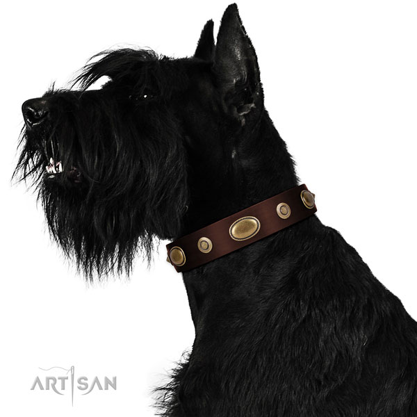 Everyday use dog collar of natural leather with top notch adornments