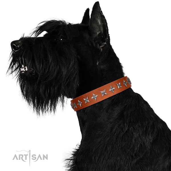 Best quality full grain leather dog collar with exceptional studs