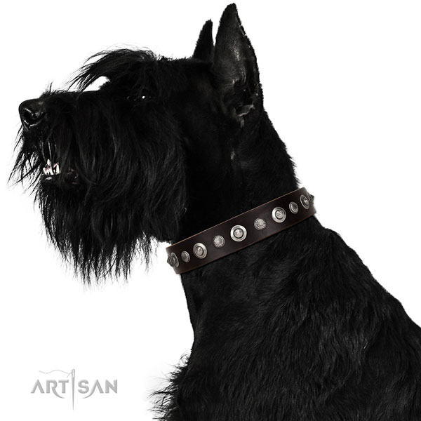 Top quality full grain genuine leather dog collar with amazing adornments