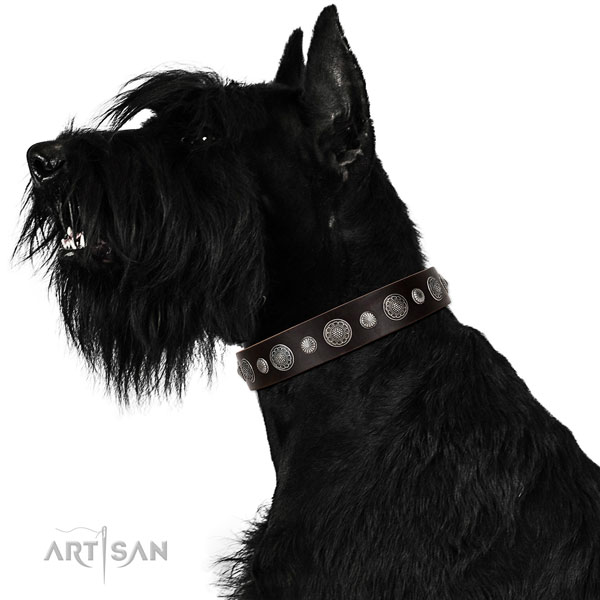 Fashionable leather dog collar with corrosion proof hardware