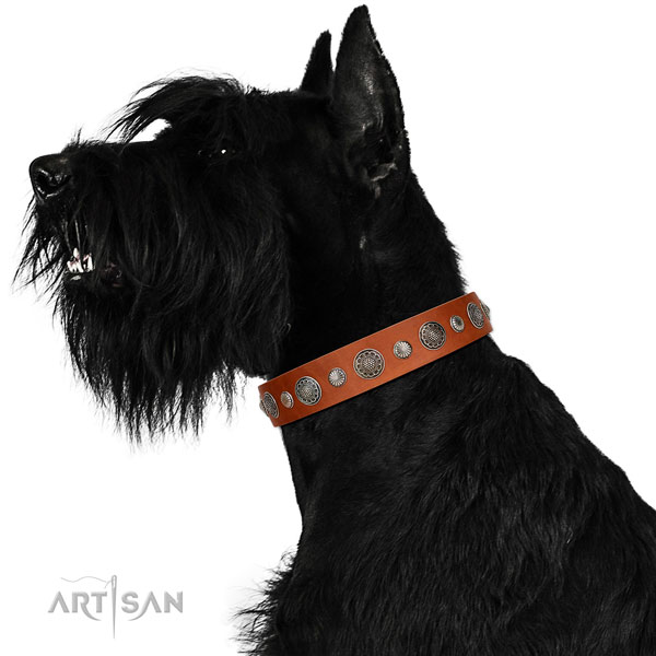 Easy to adjust Full grain natural leather dog collar with rust resistant hardware