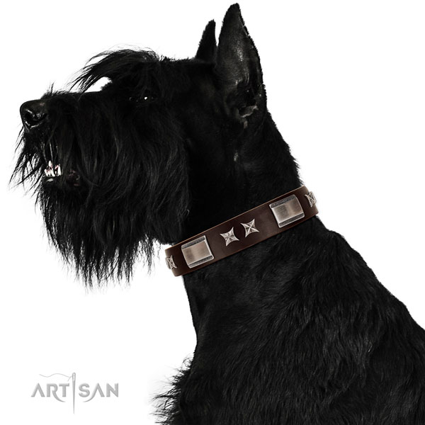 Fine quality collar of full grain natural leather for your lovely doggie