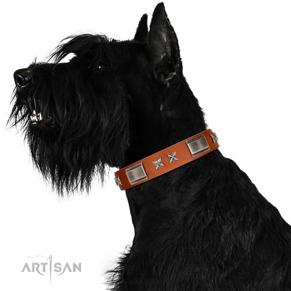 Everyday use flexible full grain leather dog collar with embellishments