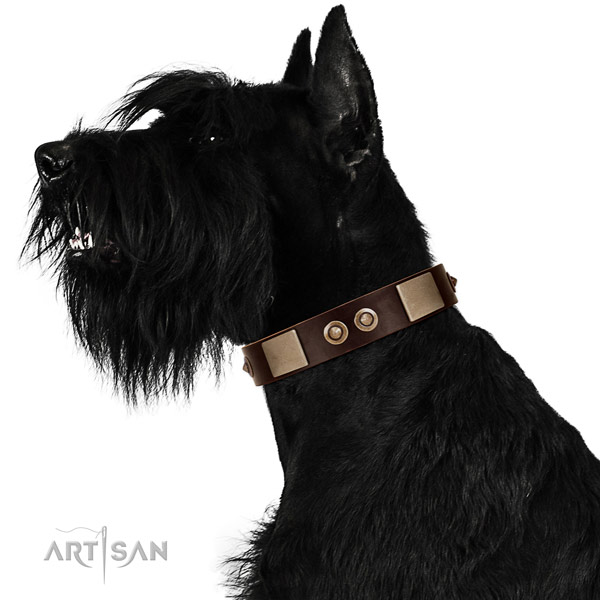 Strong D-ring on leather dog collar for daily use