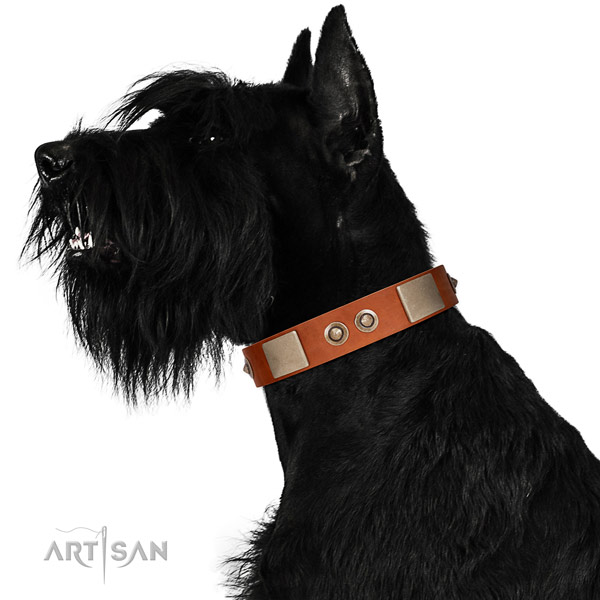 Corrosion resistant D-ring on leather dog collar for walking