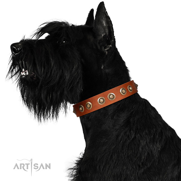 Basic training dog collar of natural leather with designer decorations