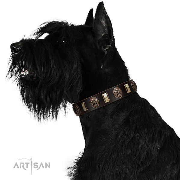 Leather collar with adornments for your lovely pet