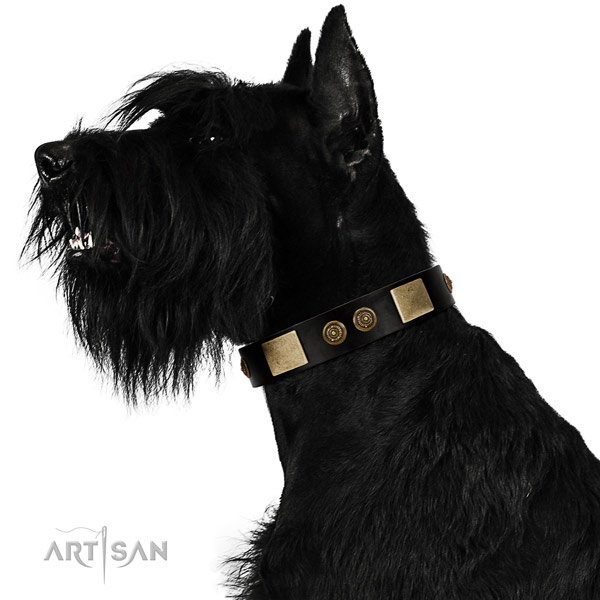 Easy wearing dog collar of natural leather with unusual embellishments