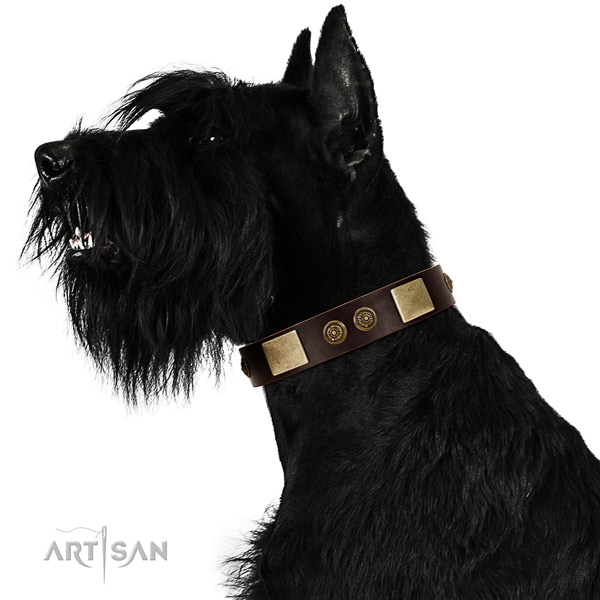Everyday use dog collar of genuine leather with unique studs