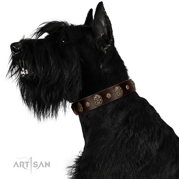 Comfortable wearing dog collar of genuine leather with extraordinary adornments