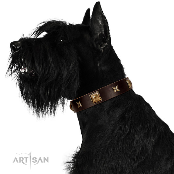 Designer full grain leather dog collar with embellishments