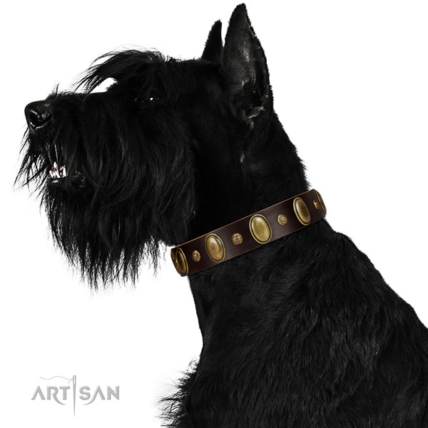 Embellished full grain leather dog collar with corrosion proof hardware