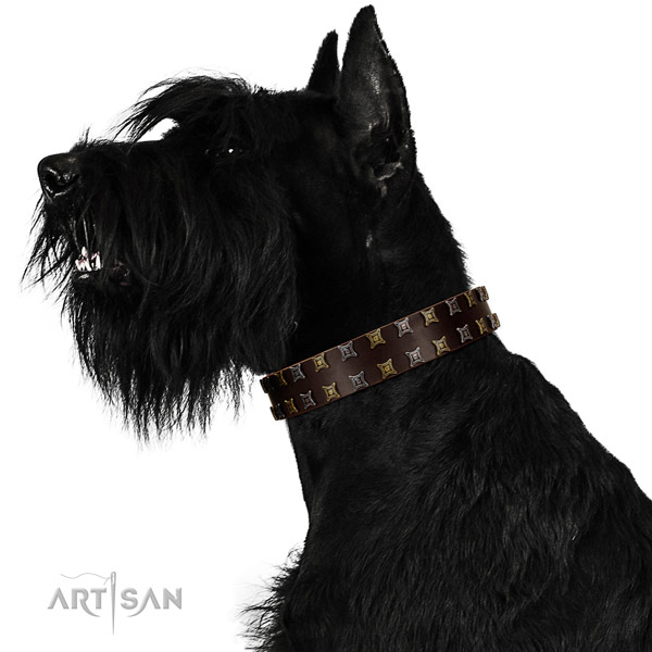 Top rate full grain leather dog collar with decorations for your doggie