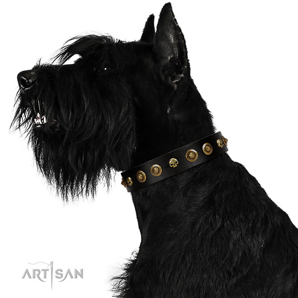 Soft full grain genuine leather dog collar with adornments for your pet
