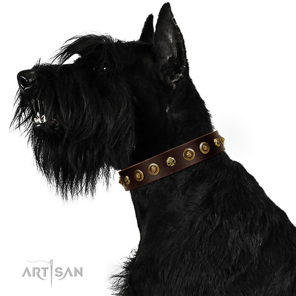 Soft to touch genuine leather dog collar with studs for your doggie