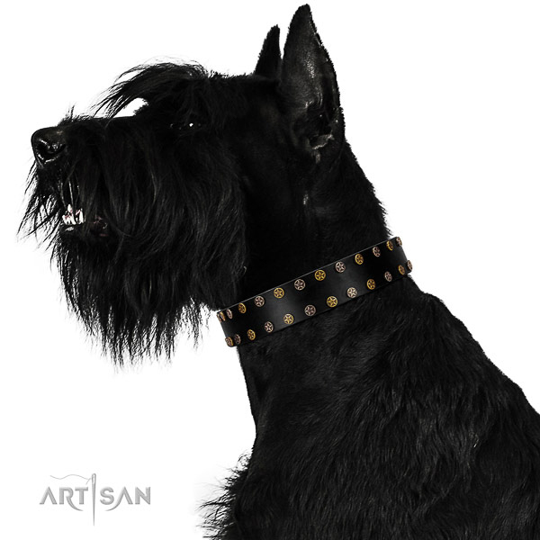 Significant natural leather dog collar with durable decorations
