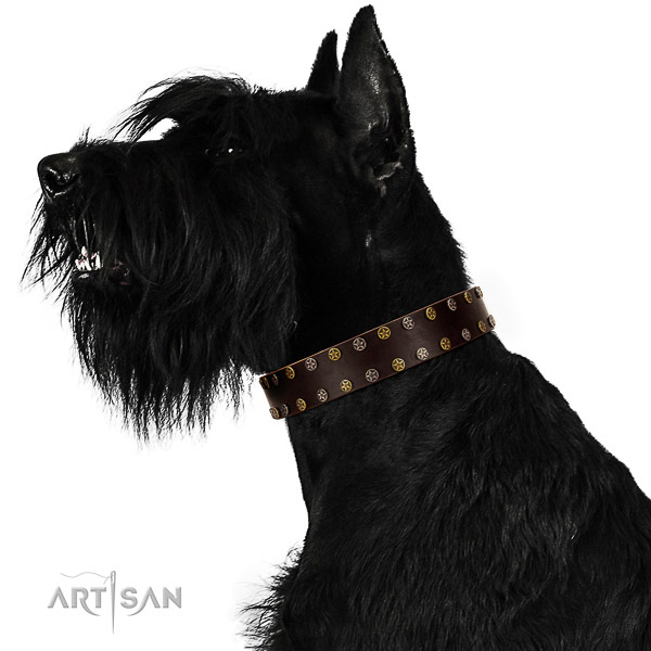 Handy use natural leather dog collar with embellishments