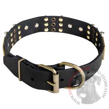 Studded Leather Riesenschnauzer Collar for Walking