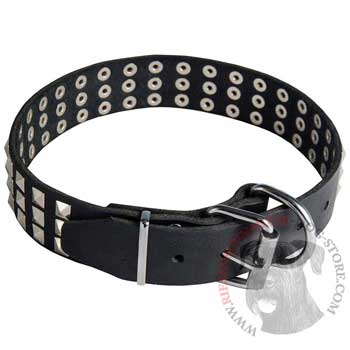 Leather Collar with Pyramids for Riesenschnauzer