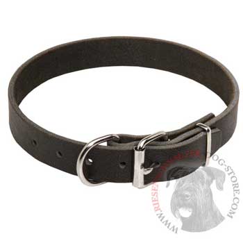 Dog Leather Collar for Riesenschnauzer Training and Walking