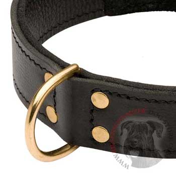 Brass D-ring Stitched to Leather Riesenschnauzer Collar