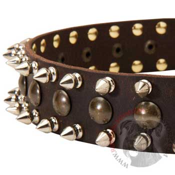 Riesenschnauzer Leather Collar with Hand Set Spikes  And Studs