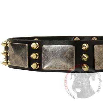 Stylish Leather Dog Collar for Riesenschnauzer
