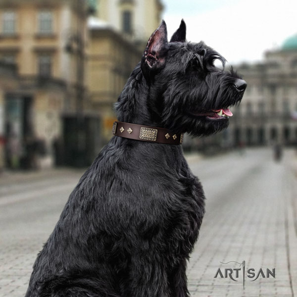 Riesenschnauzer fancy walking full grain leather collar with studs for your four-legged friend