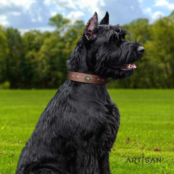 Riesenschnauzer handy use leather collar with embellishments for your canine