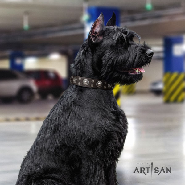 Riesenschnauzer basic training natural leather collar for your handsome pet