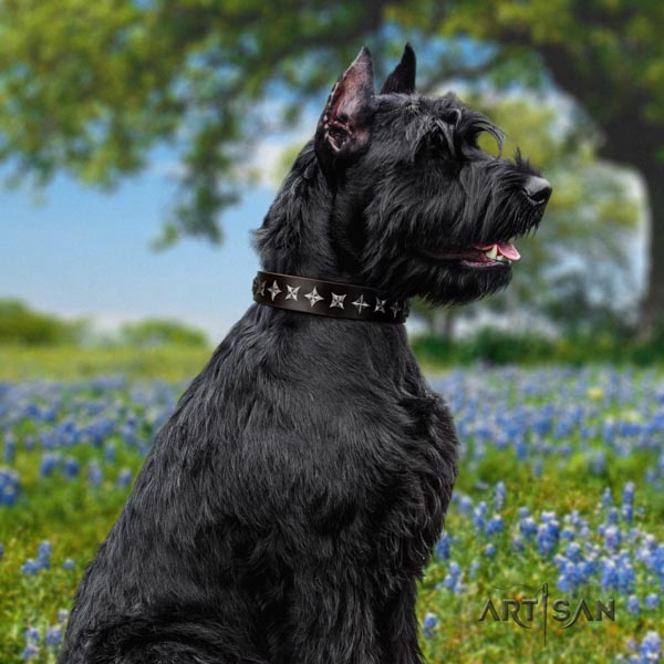 Riesenschnauzer walking full grain leather collar with decorations for your canine