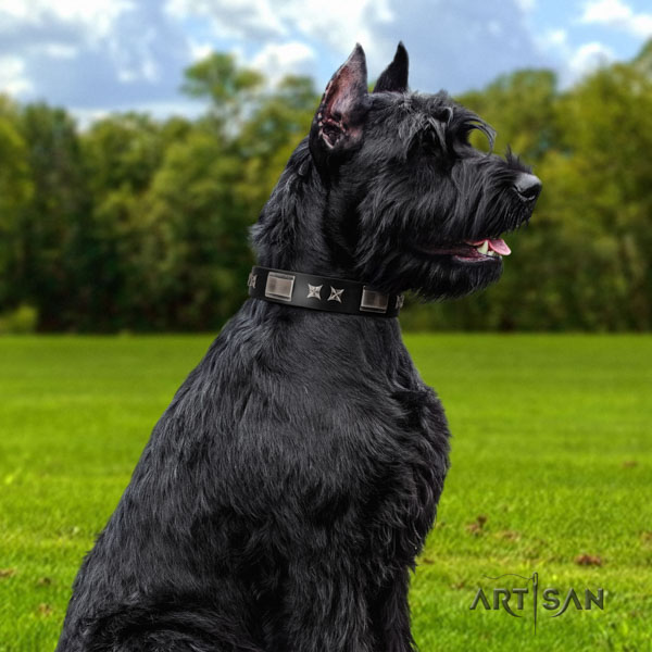 Riesenschnauzer fancy walking full grain leather collar with decorations for your doggie